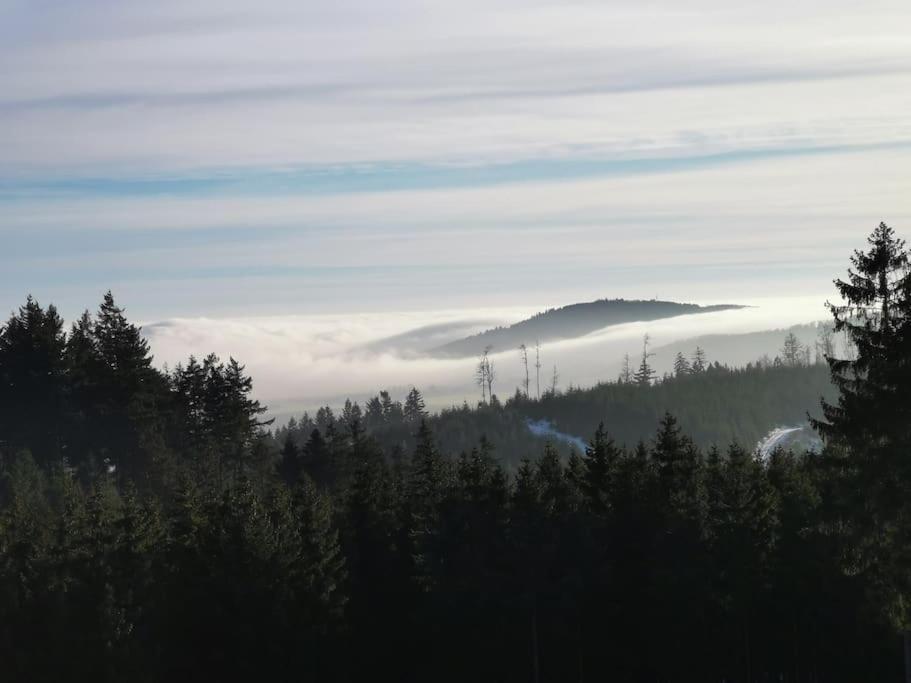 Fewo Albrecht Direkt Am Diemelsteig Diemelsee Exterior foto